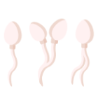 Морфология спермы