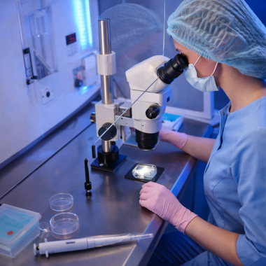 Классификация эмбрионов при ЭКО