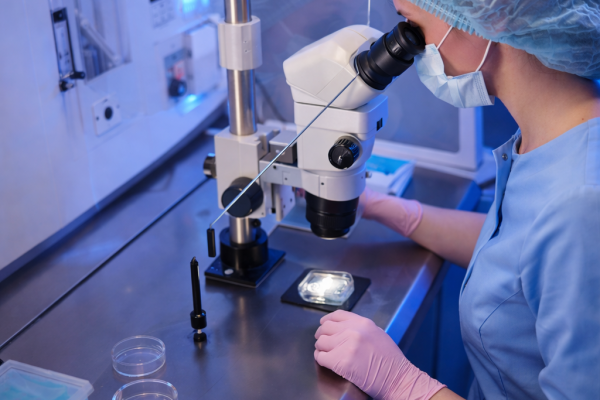 Классификация эмбрионов при ЭКО