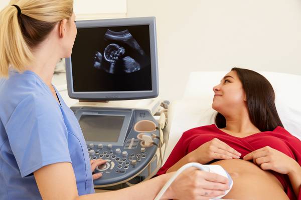 УЗИ после ЭКО