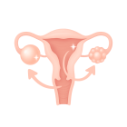 Длинный протокол ЭКО