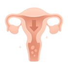 ЭКО при менопаузе