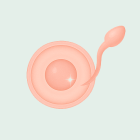 ЭКО с донорской спермой