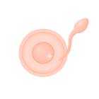 ЭКО с донорской спермой