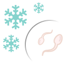 Тест на криорезистентность спермы