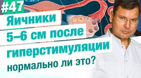 Яичники после гиперстимуляции 5 – 6 см. Небольшое вздутие живота. Это нормально?