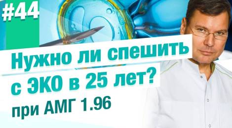 Нужно ли торопиться делать ЭКО при АМГ 1.96 в 25лет?