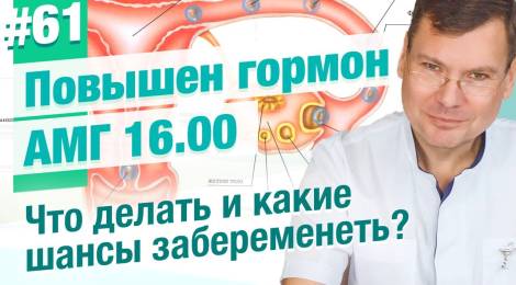 Повышен антимюллеров гормон. АМГ 16.00. Что делать?